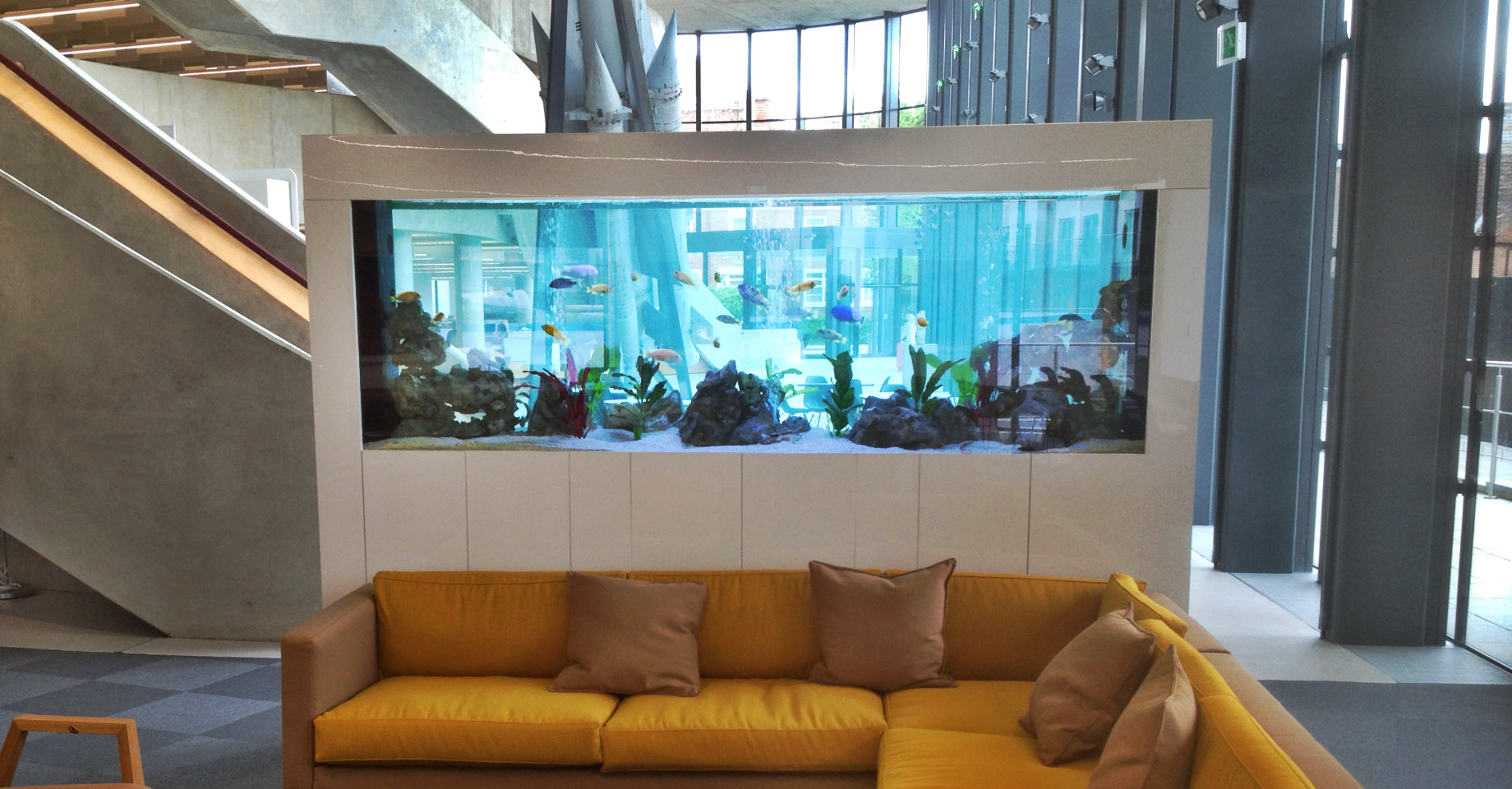 modern office fish tank aquarium