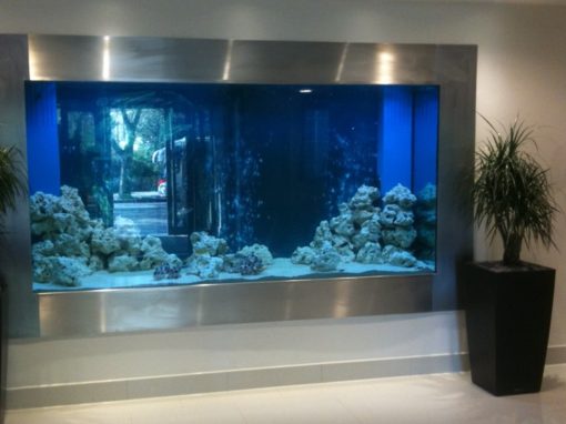 Custom Fish Tanks, Bespoke Aquarium Design & Installation UK