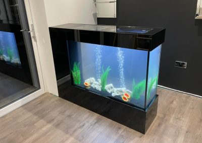 Self Contained Aquarium Unit Worcestershire (77)