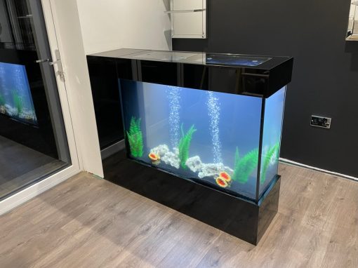 Self Contained Aquarium Unit Worcestershire (77)